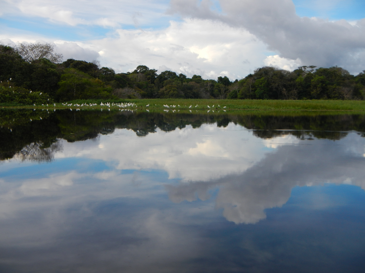 Brazylia - Manaus - Amazonka